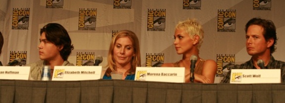 2010 Comic-Con V Series Panel!