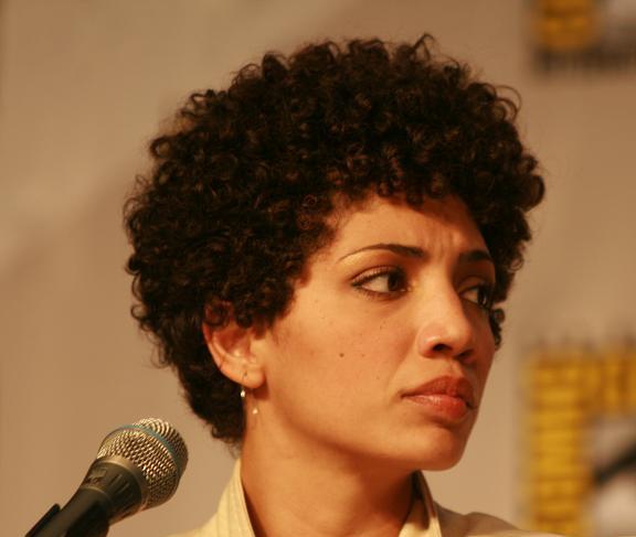 Comic-Con 2010 Jasika Nicole Fringe Panel