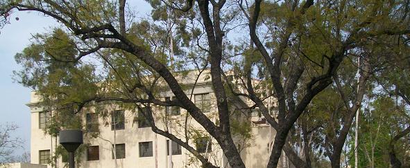 Caltech Campus Beckman Environs