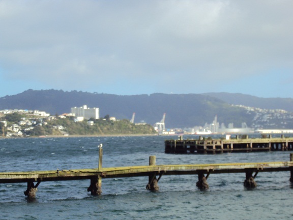 Looking across to Wellington Harbour from Miramar, New Zealand