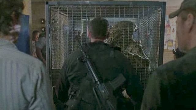 Skitter in Cage