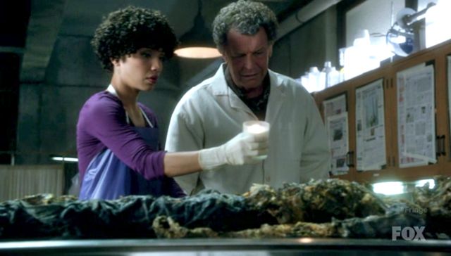 Fringe S4x03 - Strangeness