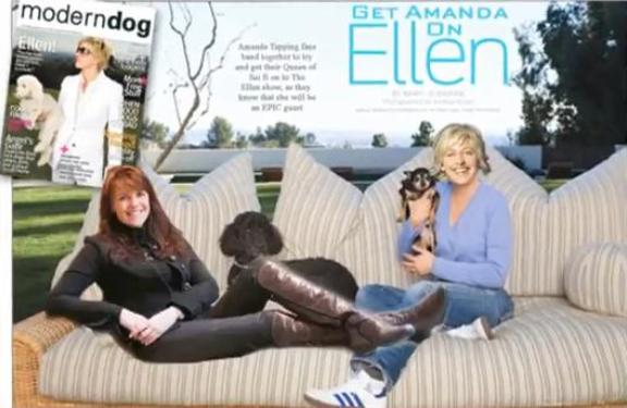 Click to visit the Get Amanda on Ellen Movement!