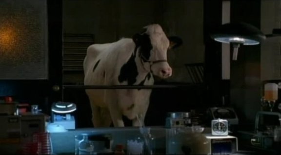 Fringe S3x09 Marionette - Observant Gene the Cow 