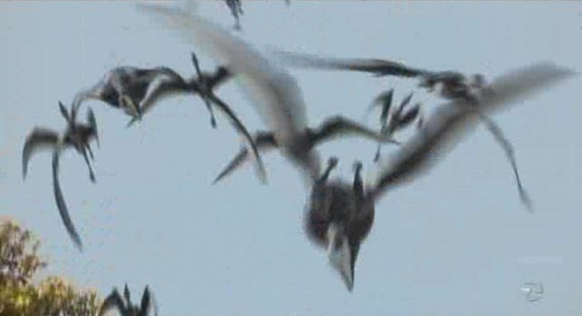 Terra Nova S1x02 - Birds in flight3-30_53_11