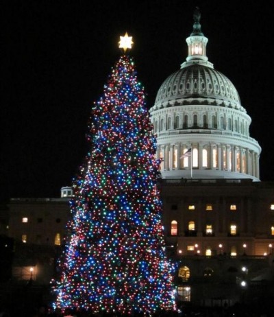 US Capital and Christmas Tree
