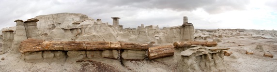 Bisti Badlands New Mexico