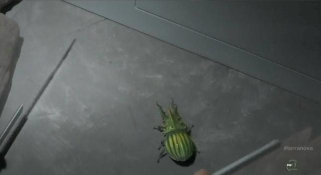 Terra Nova S01X03 "What remains" the bug